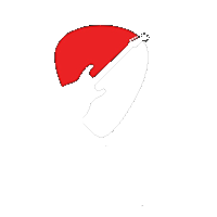 101.9 FM Rocks Logo with a Guitar